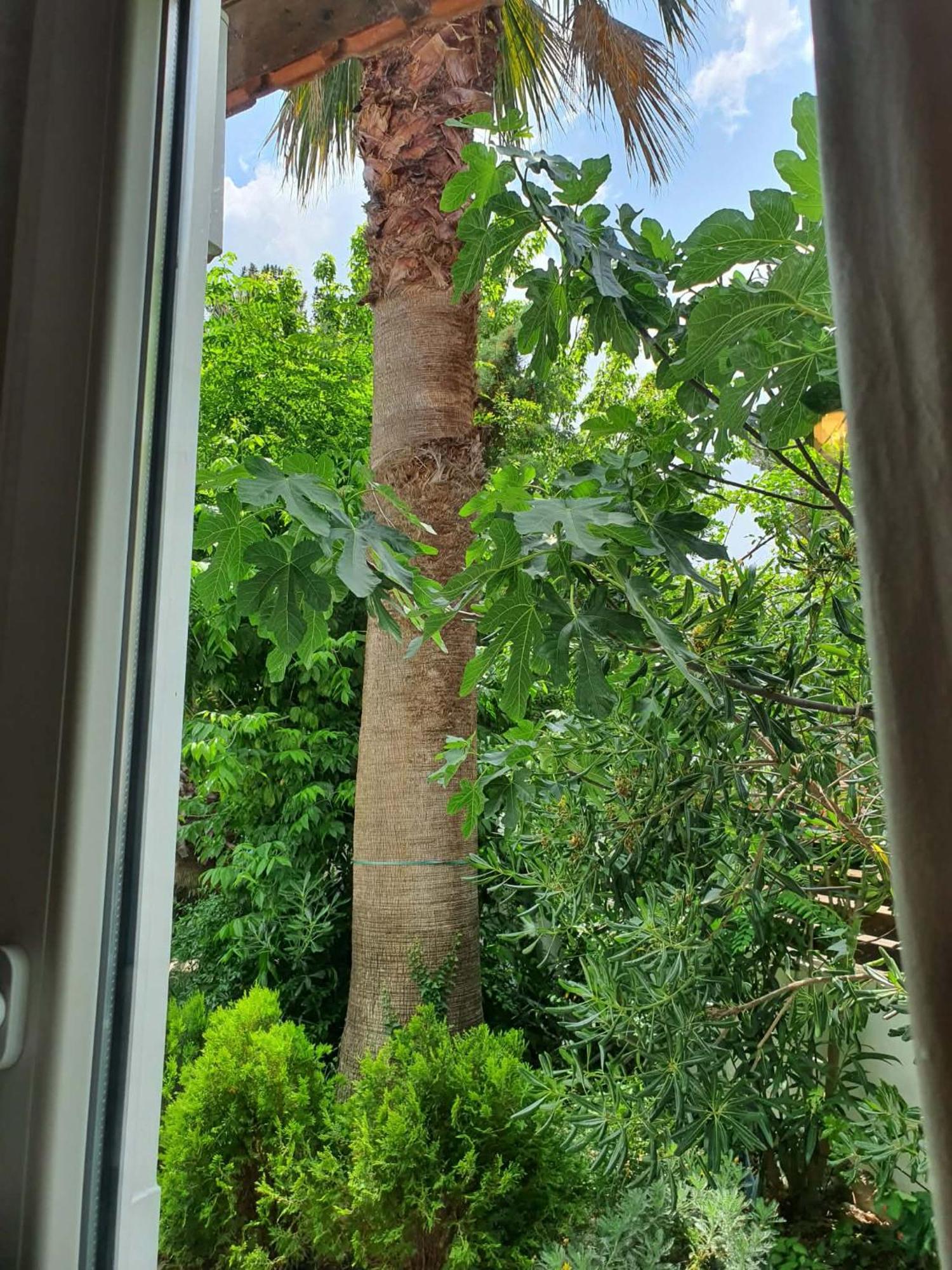 Triple Room Garden View